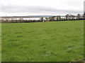 T0426 : Pasture near Ballyregan with view to River Slaney by David Hawgood