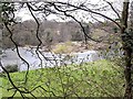 River Eden near Holmwrangle