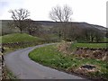 The road to Brackenthwaite