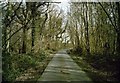 TQ7441 : Lane between Woods by David Anstiss