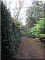 Old path above Helsby