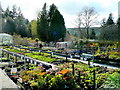 Duchy of Cornwall Nurseries