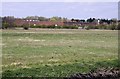 Tescos from the River Ock