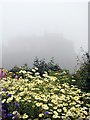 Lindisfarne Castle from the garden