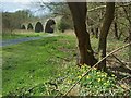 Machen Viaduct, Machen Forge Trail