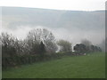 Hedge on the edge of pasture near Ash Farm