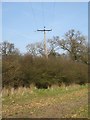 SU6755 : Lone telegraph pole by Mr Ignavy