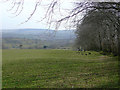 Farmland  towards Ffaldybrenin, Carmarthenshire