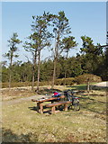 S9618 : Picnic site on Forth Mountain by David Hawgood