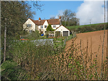 ST2332 : Spring Cottage, near Broomfield by Ken Grainger