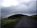 Rainbow over Blackstock Wood