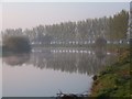 The River Bann at Portadown