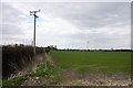 Power lines on posts cross a field