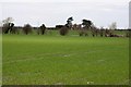 Pearith Farm near Didcot