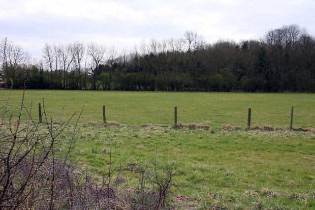 Long Wittenham Wood © Steve Daniels cc-by-sa/2.0 :: Geograph Britain ...