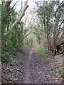 Byway on the County Boundary ? back to a normal track