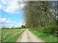 Lane North of Haisthorpe