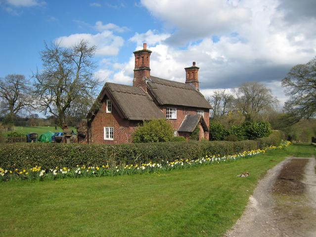Thatched cottage in Osmaston
