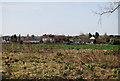 Houses on the edge of Lower Rainham