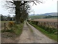 The road to Earlston