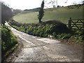 Lane to Bickleigh Farm