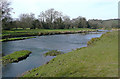 The Afon Teifi near Pont Llanio, Ceredigion