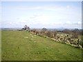 Footpath & bridleway junction near Underhill Hall