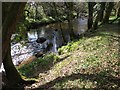 River Teign by Dogmarsh Wood