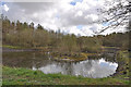 East Pond Mynydd Mawr Woodland Park