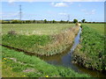 Drains on the Caldecot Level