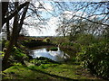 Blackdown Hills : Park Farm Pond