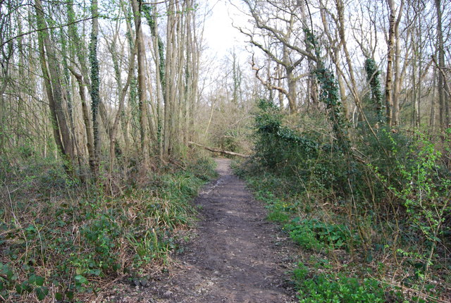 Footpath along the edge of Brokes Wood © N Chadwick :: Geograph Britain ...