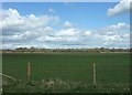 Farmland north of Moorgate Farm