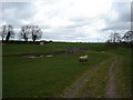 Field  Track  to  a  country  Lane