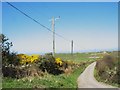 The Mynachdy farm road