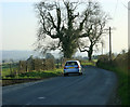 2009 : A359 looking south near the top of Seat Hill