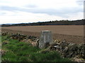 Trig Point near Tulloch