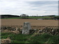 Trig Point near Tulloch