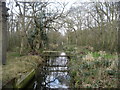 Channel near Catfield Common