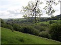 Cothi Valley