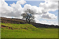 Gwendraeth Fach valley south of Llandyfaelog