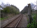 TM3761 : Looking along the Railway line towards the B1121 by Geographer