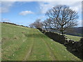 Trackway, trees and wall below Fron Hen