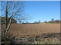 Ploughed field at the southern outskirts of Benllech [2]