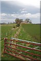 Path to Birnie Kirk