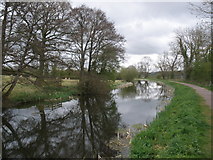 ST0414 : The Grand Western Canal, near Holbrook Farm by Roger Cornfoot