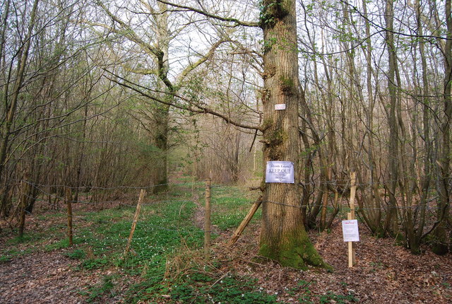 Keep out of the woods, Newbridge Wood