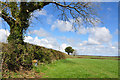 Hedgerow running north east off the B4306