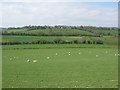 View W from Dean Hill towards Ittinge Farm