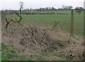 Farmland near Gaddesby